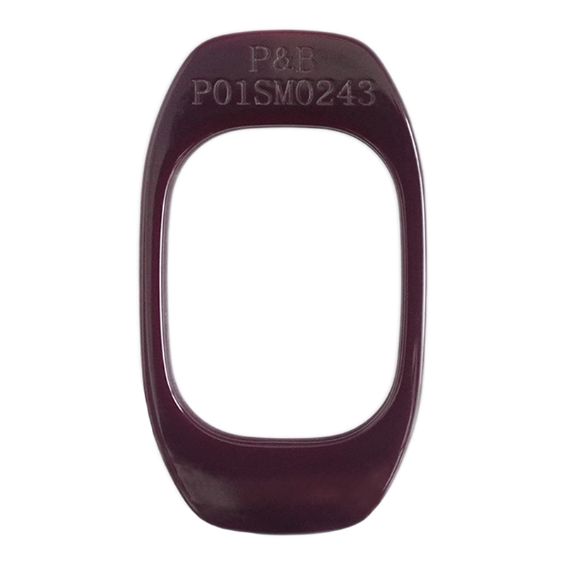 P01SM0243