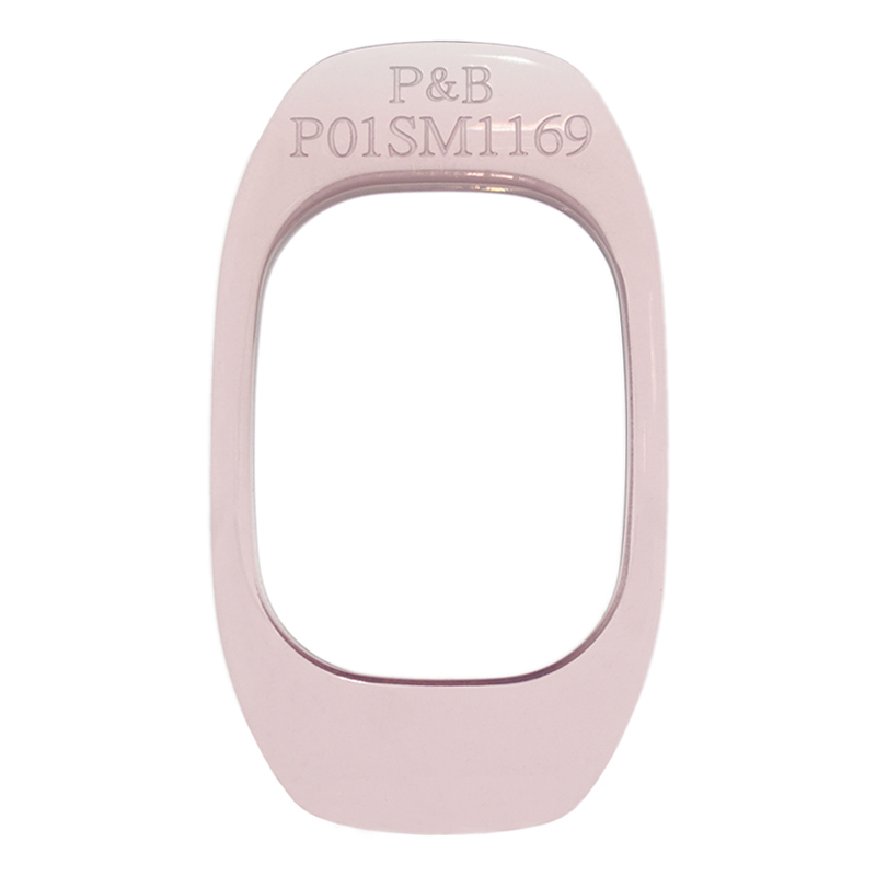 P01SM1169