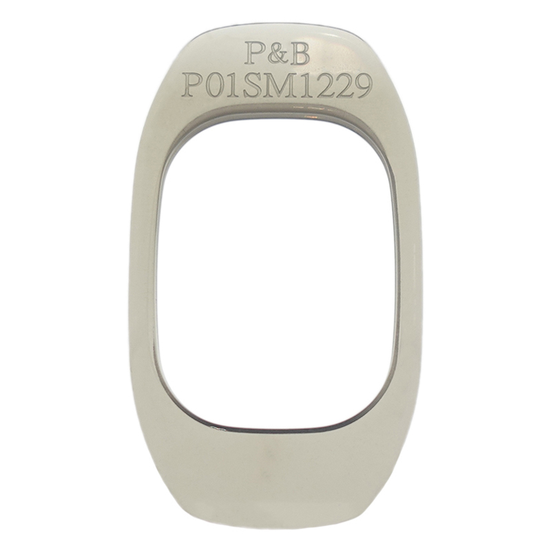 P01SM1229