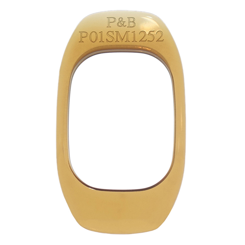 P01SM1252