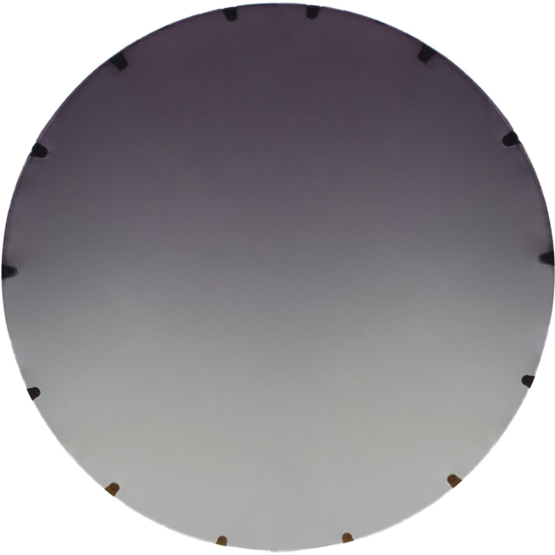 LCSS042